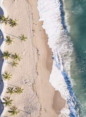 Beach Photo